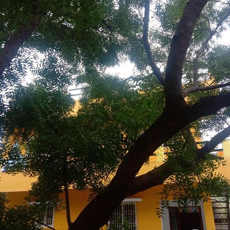 Thendral Hostel Monthly Rental ポンディシェリ エクステリア 写真