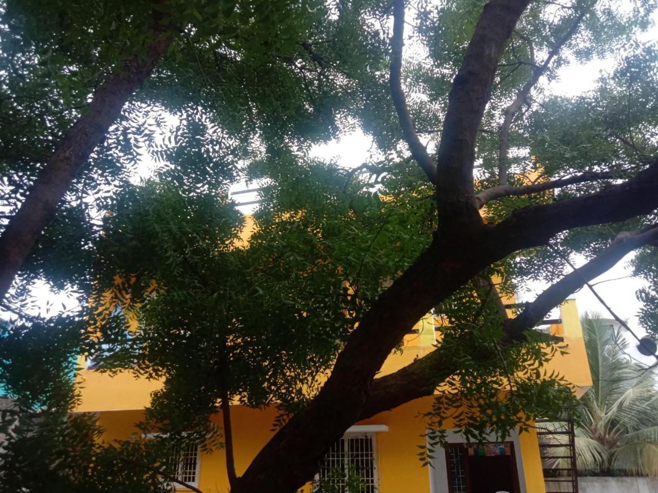 Thendral Hostel Monthly Rental ポンディシェリ エクステリア 写真